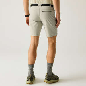 Regatta X-Ert Stretch Erkek Şort-YEŞİL - 4