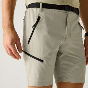 Regatta X-Ert Stretch Erkek Şort-YEŞİL - 5