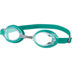 Speedo Jet V2 Gog Au Assorted Gözlük - Speedo